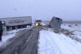 Chocaron dos camiones en la ruta 3 y murieron dos vacas