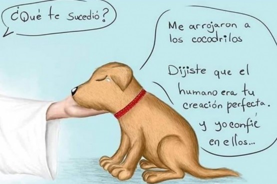 Un grupo de adolescentes tiró una perrita al río para ver si podía escaparse de un cocodrilo