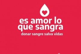 Lanzan campaña para promover la donación voluntaria de sangre
