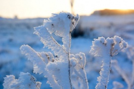 El Calafate con la temperatura más baja del país: -9.8 ºC