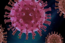 Alerta mundial por coronavirus: se multiplican los rebrotes y detectan una cepa 6 veces más infecciosa
