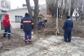 Retiro de escarcha y bolseo