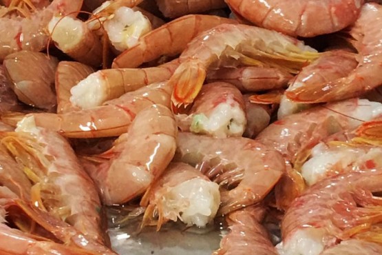 200 toneladas de langostino serán arrojadas al basural