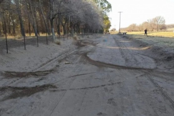 Un hombre atropelló a un perro con su auto hasta matarlo