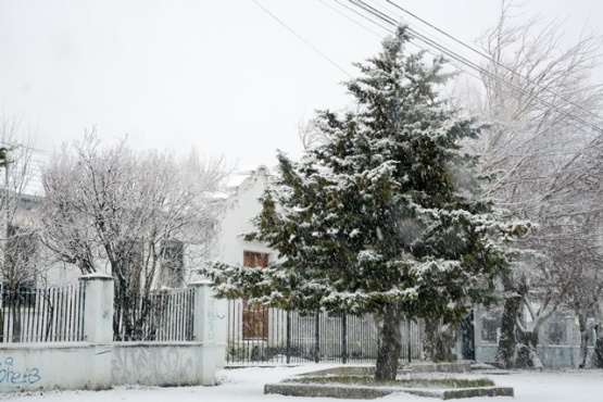 Emiten alerta por nevadas y prevén que puede acumularse hasta un metro y medio