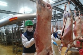 Certificación de 15 toneladas de carne ovina congelada con hueso a Japón
