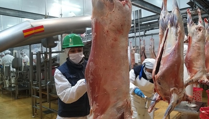 Certificación de 15 toneladas de carne ovina congelada con hueso a Japón