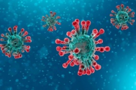 Japón detectó una nueva variante del coronavirus
