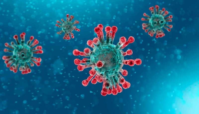 Qué diferencias conceptuales hay entre coronavirus, SARS-CoV-2 y COVID-19, según la RAE