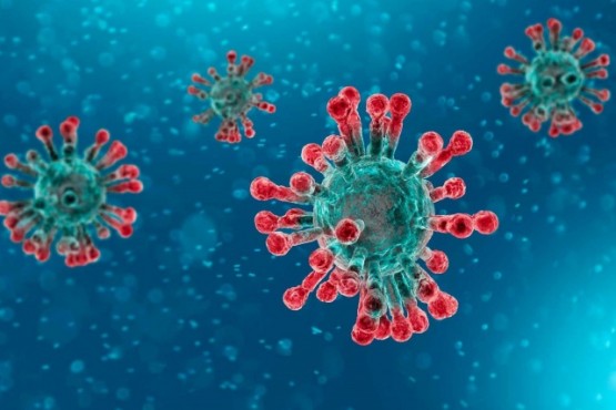 Coronavirus: Chubut confirmó 213 casos nuevos  