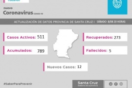 Coronavirus: 511 casos se encuentran activos en la provincia