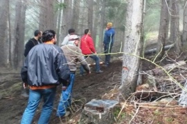 Provincia planifica las tareas de extracción forestal en las reservas de la Comarca Andina