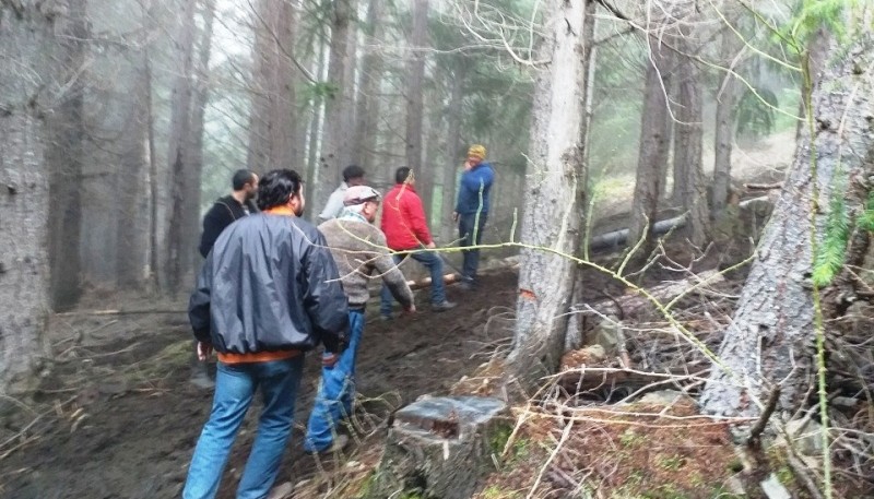 Provincia planifica las tareas de extracción forestal en las reservas de la Comarca Andina