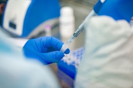 Coronavirus en Santa Cruz: 16 casos positivos en 882 muestras analizadas