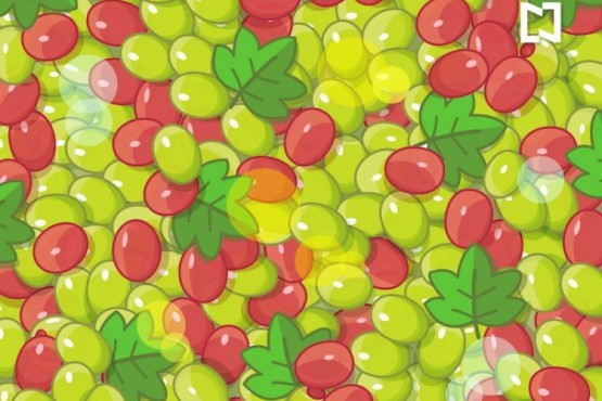 Reto visual: buscá las aceitunas escondidas entre las uvas