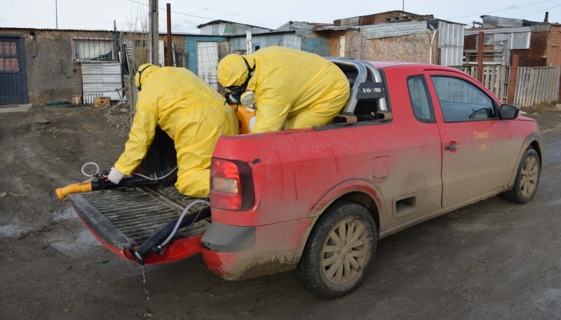 10 Acciones: Avanza el plan para combatir la plaga de moscas 