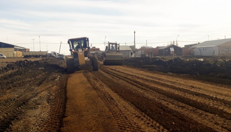 10 Acciones: Avenida Riquez vuelve a tener retamas