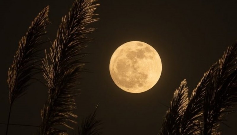 Luna llena de septiembre: qué signos del zodiaco se verán afectados