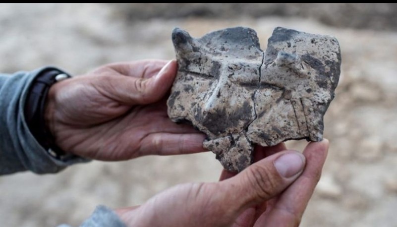 Encontraron un fragmento de un cuenco en un asentamiento de 7.000 años