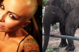 Daniela Cardone pidió que rescaten a un elefante del zoológico de Luján