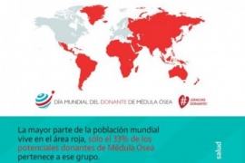 Día Mundial del Donante de Médula Ósea