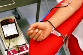La importancia de donar sangre y plasma en tiempos de pandemia