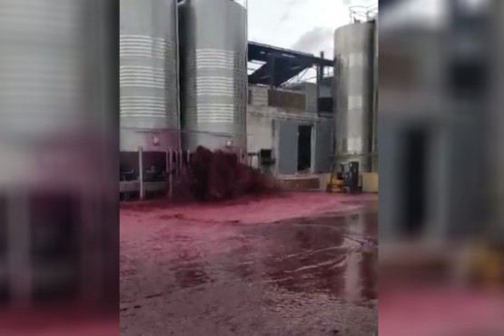 Se reventó un depósito con 50 mil litros de vino tinto