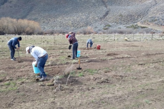 Provincia y municipio  coordinan acciones para ampliar el bosque comunal