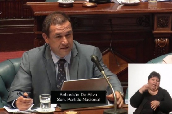 Un senador citó una canción de Damas Gratis en plena sesión