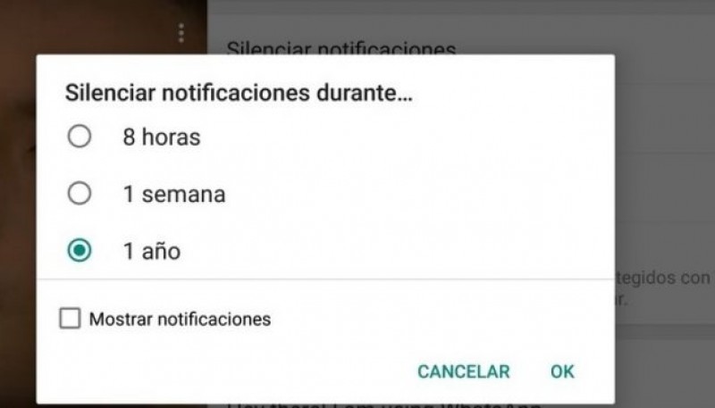 Cómo hacer para silenciar un grupo para siempre