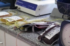 El Gobierno impulsa la donación de plasma de pacientes recuperados de Covid-19