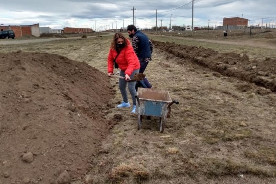 Plantación de árboles el fin de semana. 