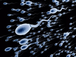 Un ginecólogo concibió 17 hijos tras donar su esperma en secreto