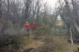 Brigadistas controlaron incendio en cercanía de Cholila