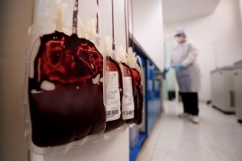 Estudios revelan qué tipo de sangre es más susceptible de contraer un cuadro grave de Covid-19