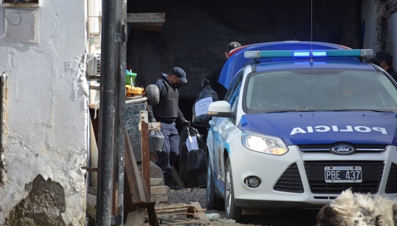 Las plantas fueron secuestradas por Narcocriminalidad. 