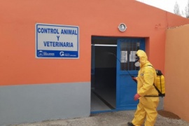 Realizaron labores de desinfección en las dependencias de Veterinaria y Control Animal