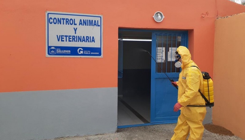 Realizaron labores de desinfección en las dependencias de Veterinaria y Control Animal 