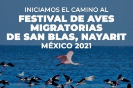 Agencia Ambiental Municipal ultima detalles para una nueva edición del Festival de Aves Playeras