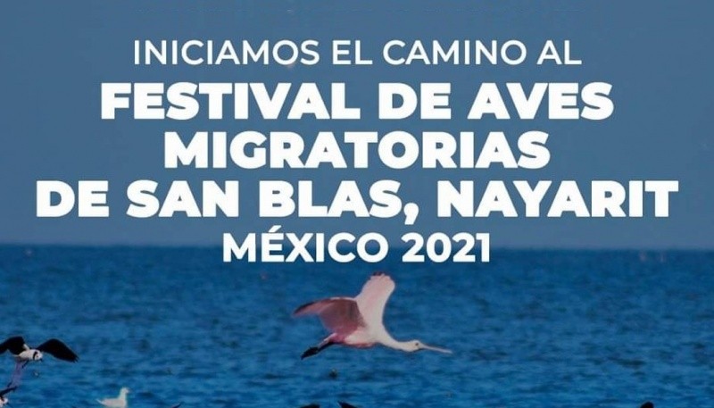 Agencia Ambiental Municipal ultima detalles para una nueva edición del Festival de Aves Playeras
