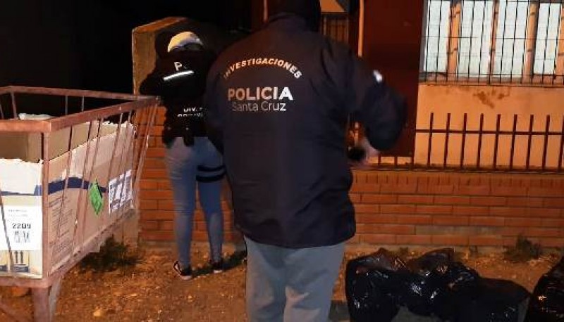 Las plantas eran transportadas por una mujer en moto.  