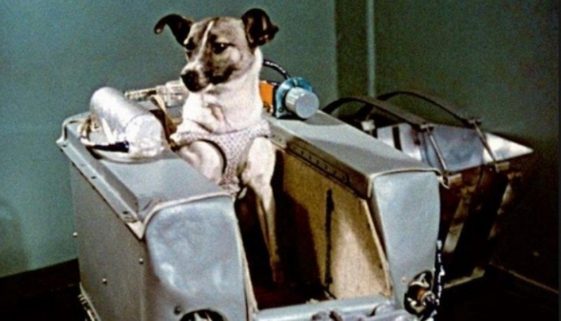Laika es lanzada al espacio a bordo del Sputnik 2