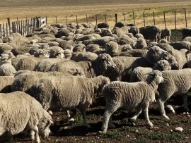 Chubut elevó un pedido a cancillería para proteger la Marca Patagonia