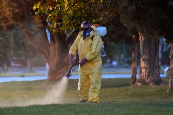 Comenzó el Plan de fumigación Municipal