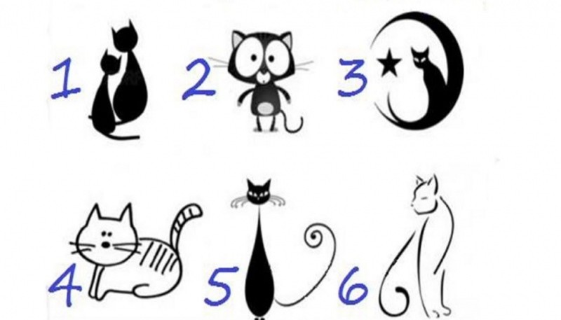 ¿Qué gato elegís?: el test psicológico que mide el poder de tu intuición