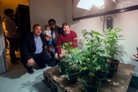 Un ciudad argentina empieza a plantar marihuana para hacer aceite de cannabis