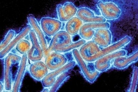 Chapare: el virus letal con síntomas compatibles al coronavirus que despierta alarmas