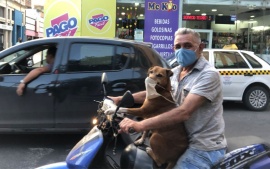 La adorable postal de un perro con barbijo andando en moto con su dueño