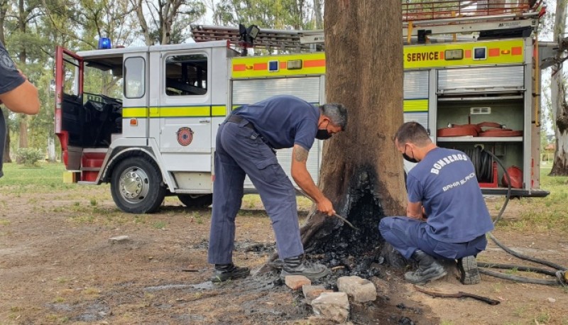 Bahía Blanca| Prendieron fuego la base de un árbol de 120 años