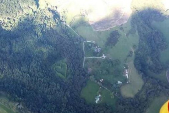 Descubrieron un “corazón” (literal) en medio de un bosque